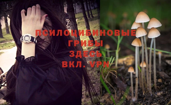 кристаллы Арсеньев