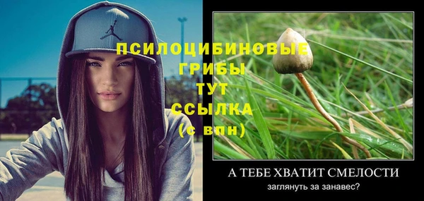ПСИЛОЦИБИНОВЫЕ ГРИБЫ Армянск