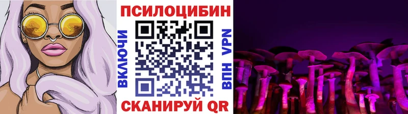 Псилоцибиновые грибы Cubensis Долгопрудный
