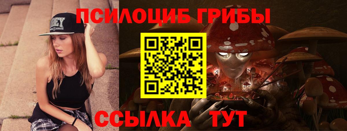 Долгопрудный  Галлюциногенные грибы MAGIC MUSHROOMS  Вход с VPN 